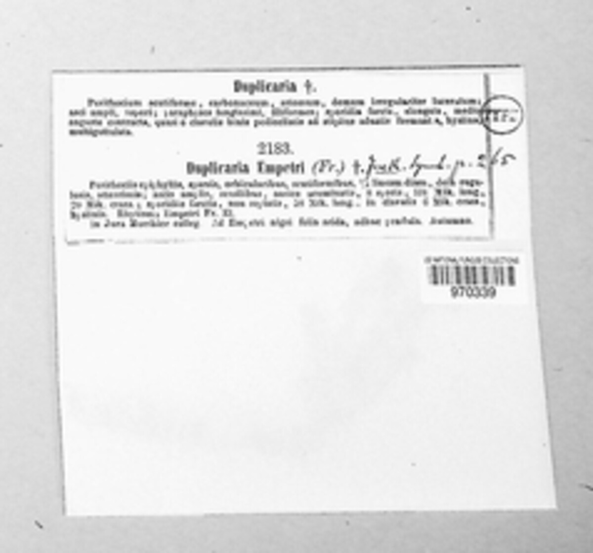 Duplicaria empetri image